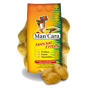 Man ´ Cara pomme de terre 2.5kg