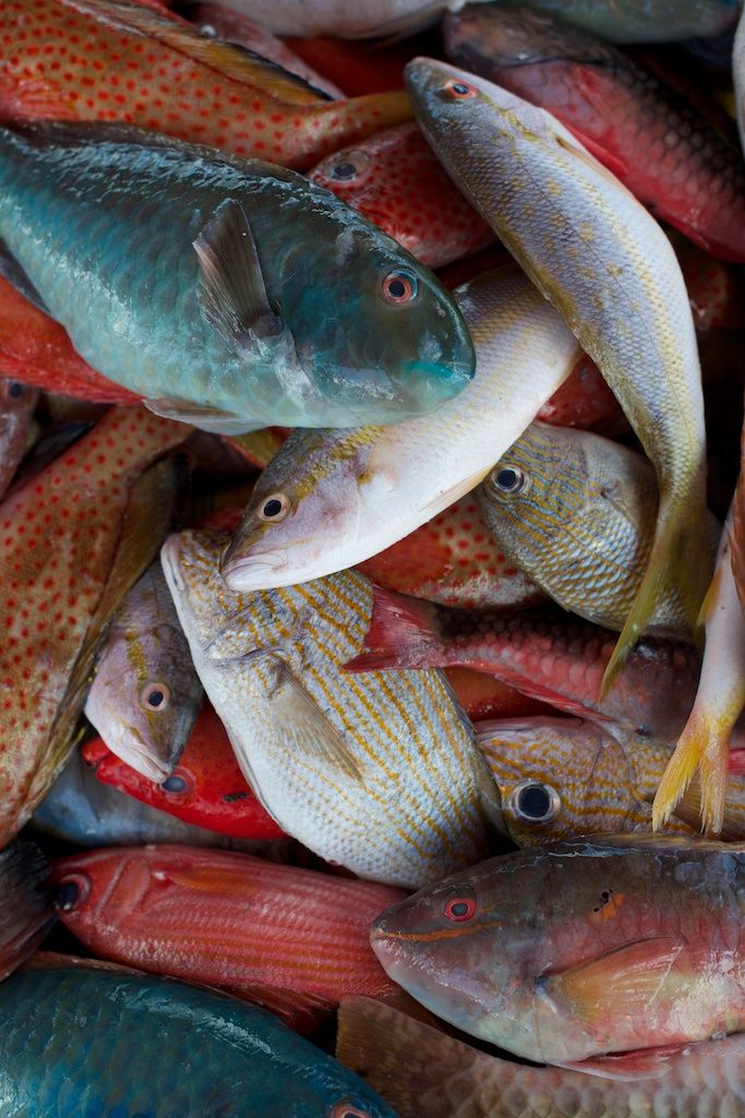 Mélange de poissons frais non écaillés 12€/kg