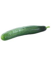 courgette