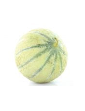 Melon