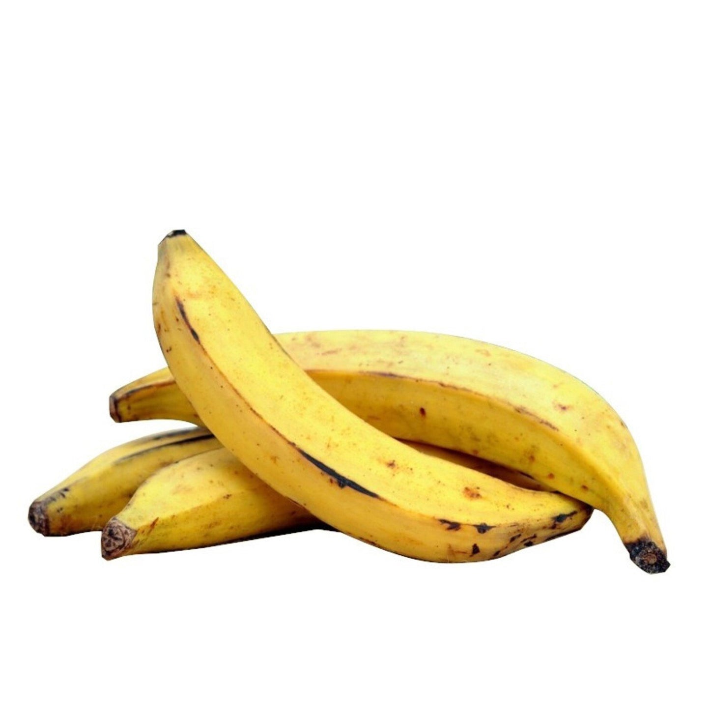 Banane Plantain le kg